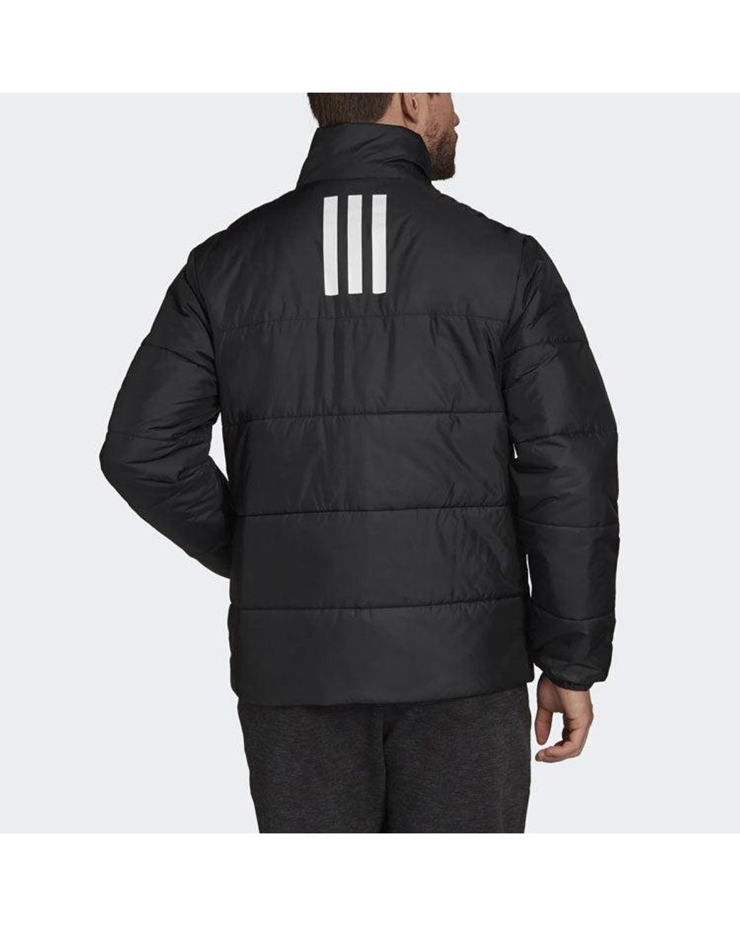 Adidas Blue Bsc 3-Stripes Insulated Winter Jacket for men