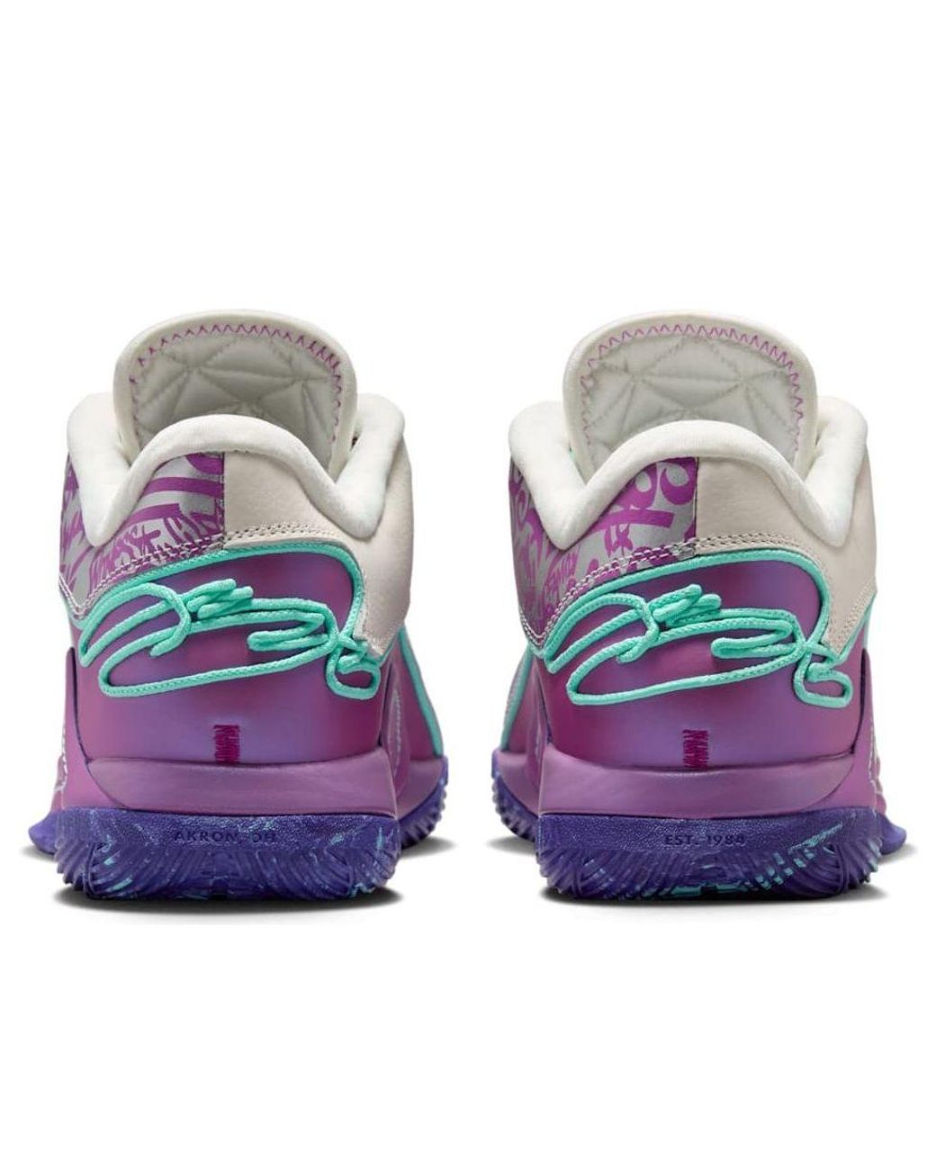 Nike Purple Lebron 22 Ep 'Frozen Grapes' for men