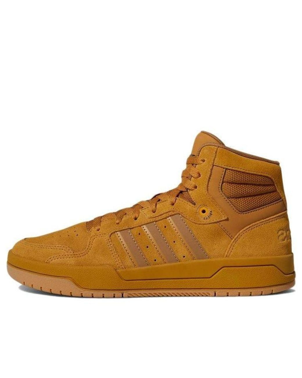 Adidas Brown Entrap for men
