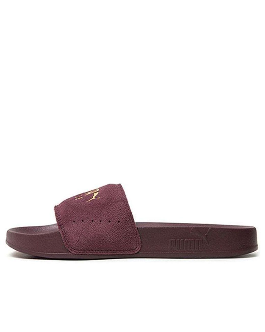 PUMA Brown Leadcat Suede Slide 'Vineyard Wine' for men