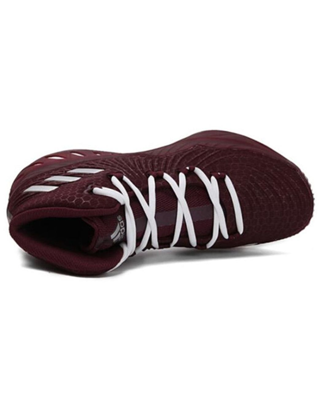 Adidas Brown Crazy Explosive 2017 for men