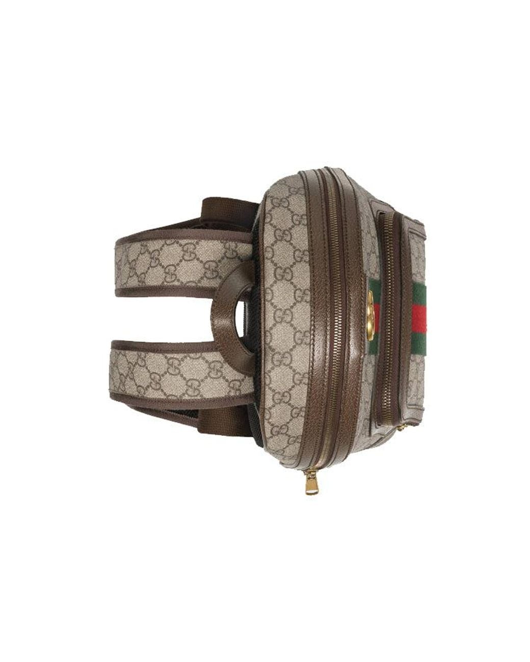 Gucci Brown Ophidia Gg Supreme Monogram Small Backpack for men