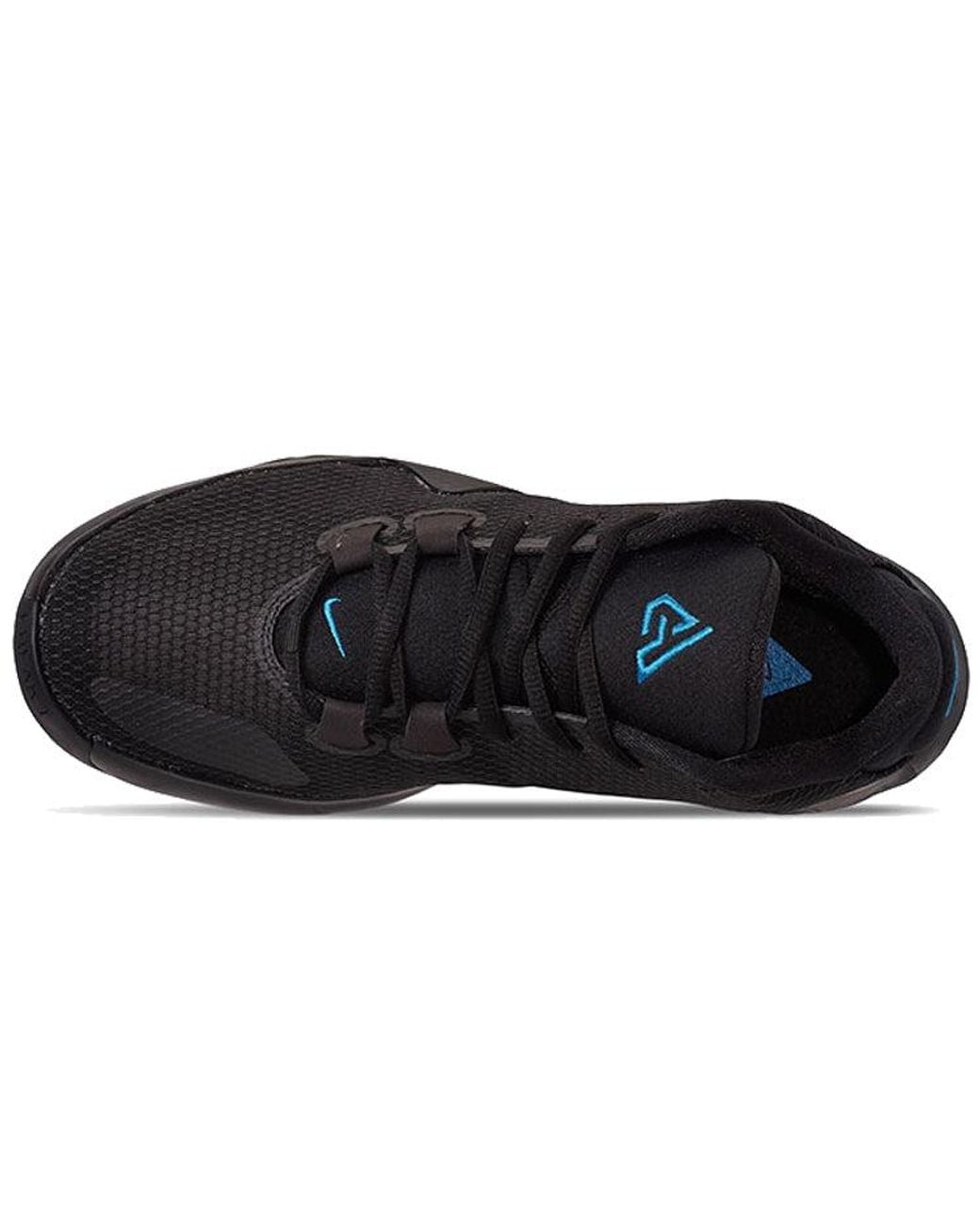 Nike Black Zoom Freak 1 Iridescent' for men