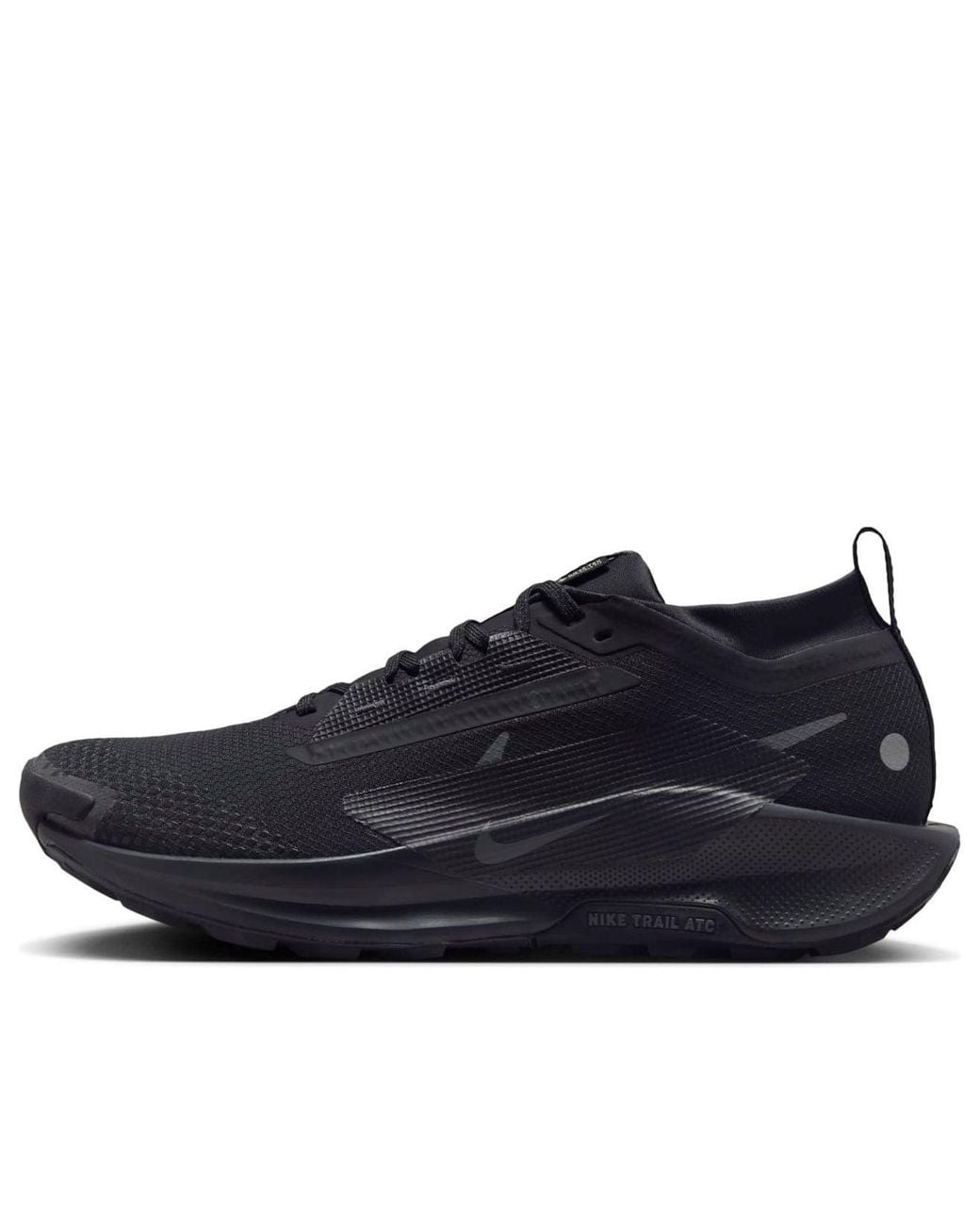 Nike Blue Pegasus Trail 5 Gore-Tex Running Shoes for men