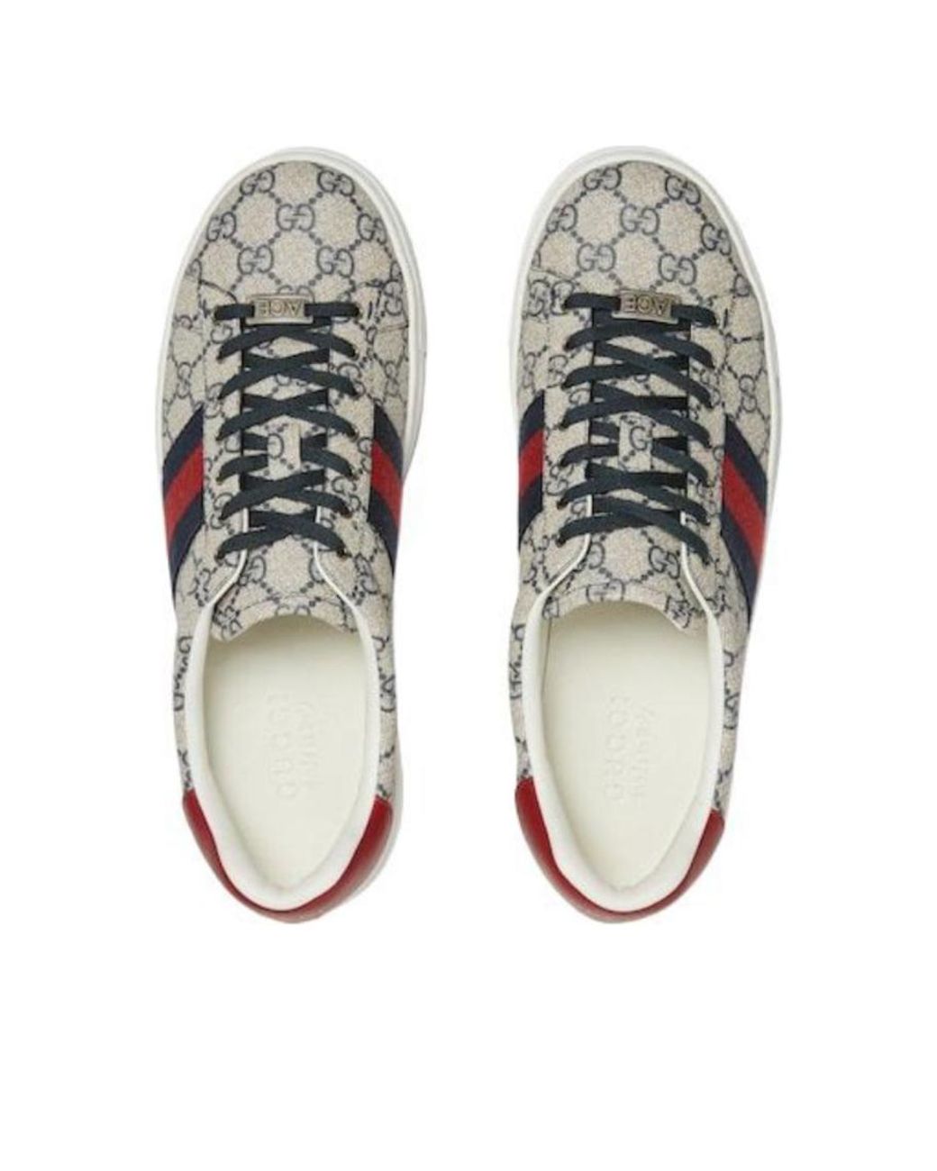 Gucci White Ace Web for men