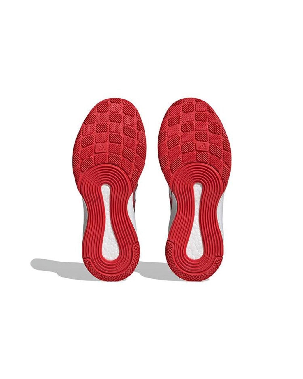 Adidas Red (Wmns) Crazyflight Shoes 'Team Collegiate Camo'