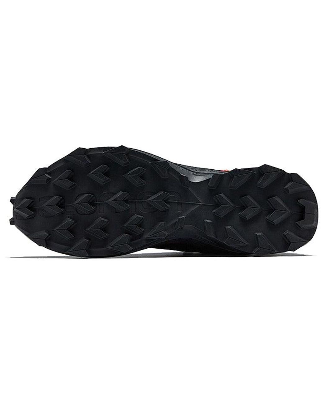 Salomon Blue Alphacross 3 for men