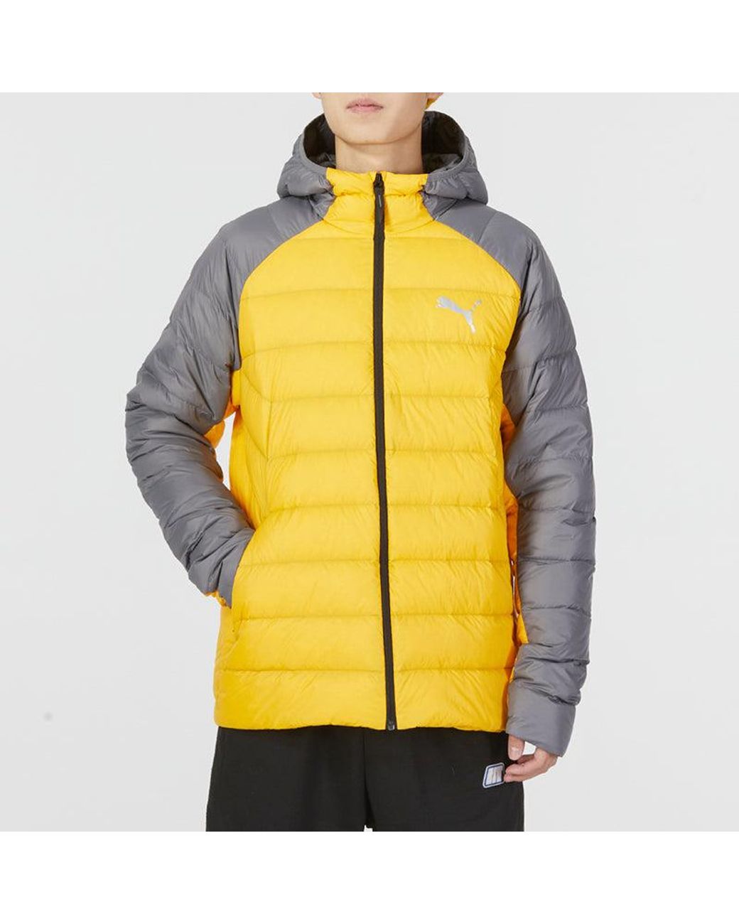 PUMA Yellow Pwrwarm Packlite Hd Jacket Logo for men