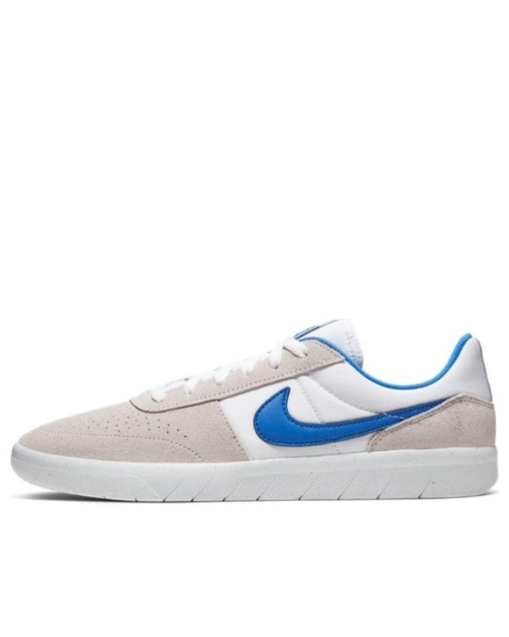 sb team classic men's skate shoe