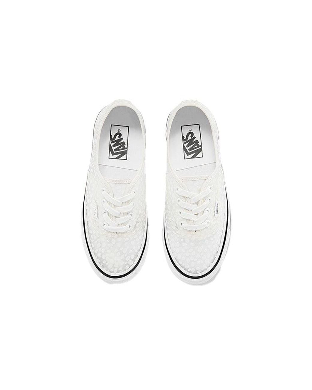 Vans White Authentic Mesh Dx Modular for men