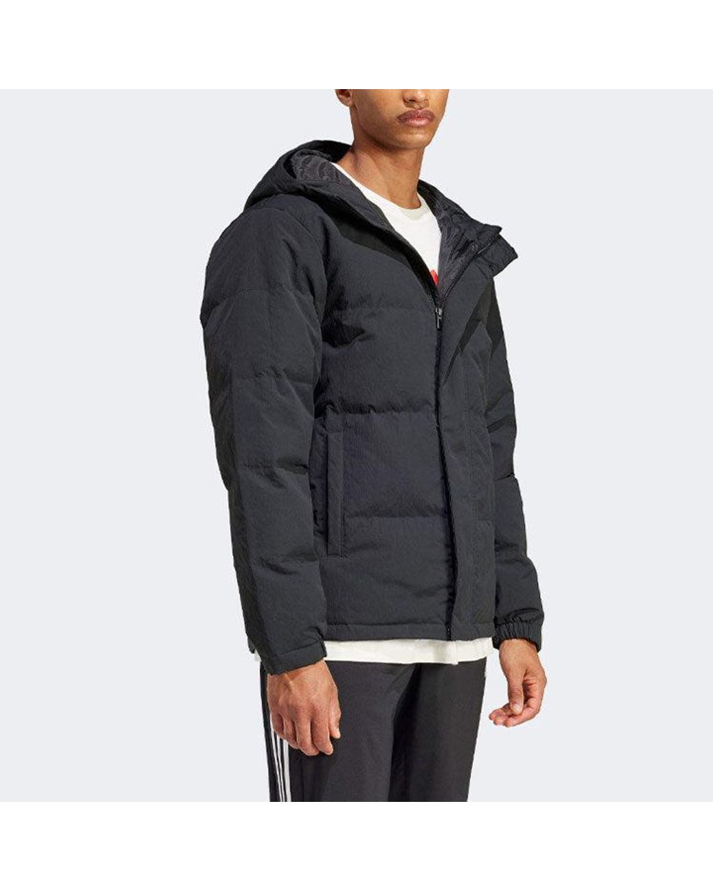 Adidas Black Regular Daily Down Jacket for men