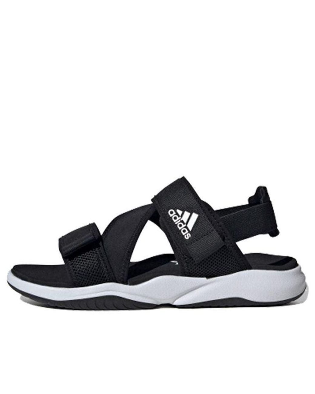 Adidas Blue Terrex Sumra for men