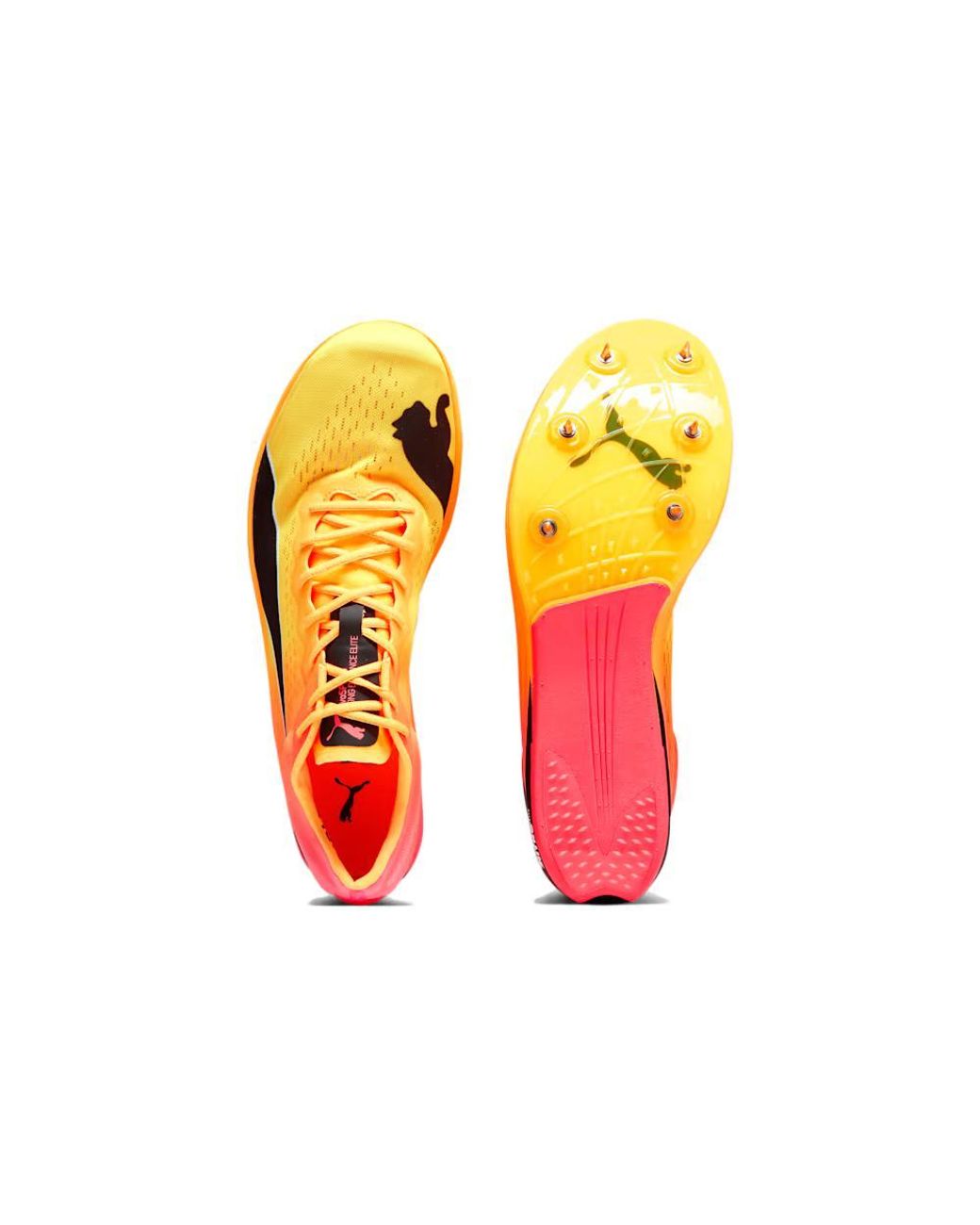 PUMA Yellow Evospeed Long Distance Nitro Elite+ Spike Shoes for men