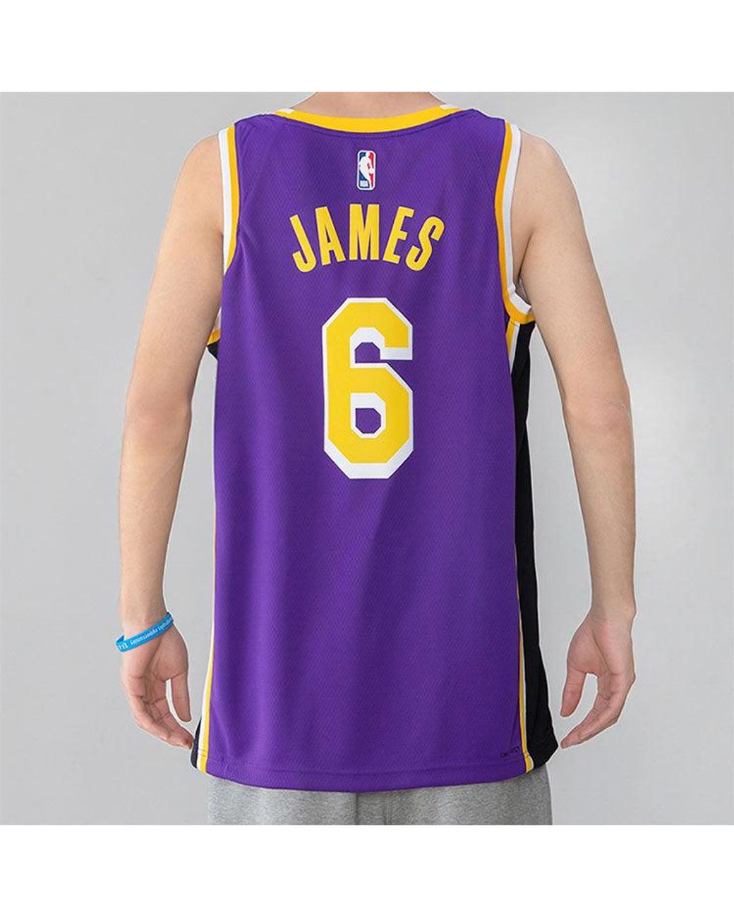 Nike Purple Nba Quick Dry Sports Basketball Sw Fan Edition Version Los Angeles Lakers Lebron James No. 6 Jersey for men
