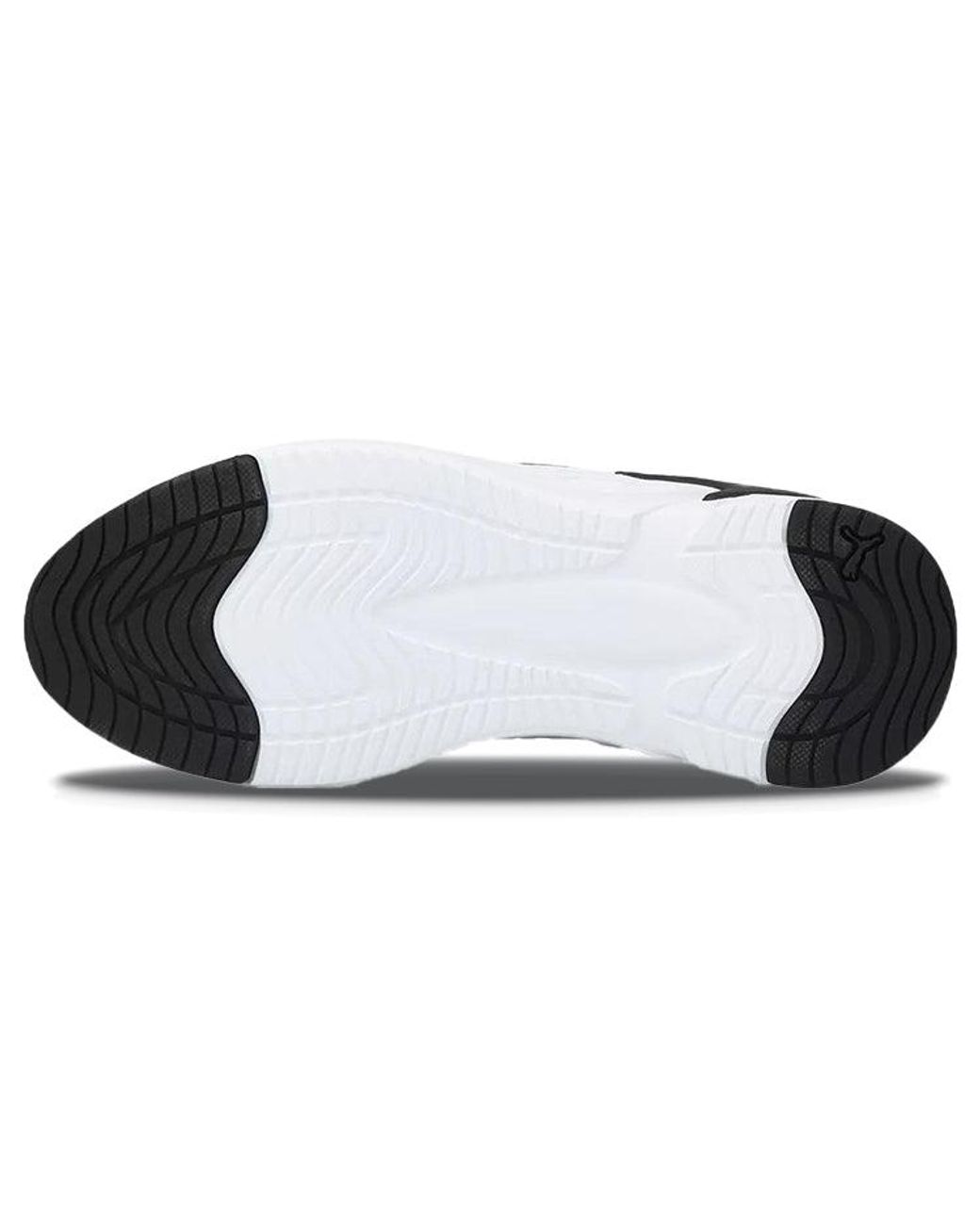 PUMA White Softride Premier 'Ombre for men