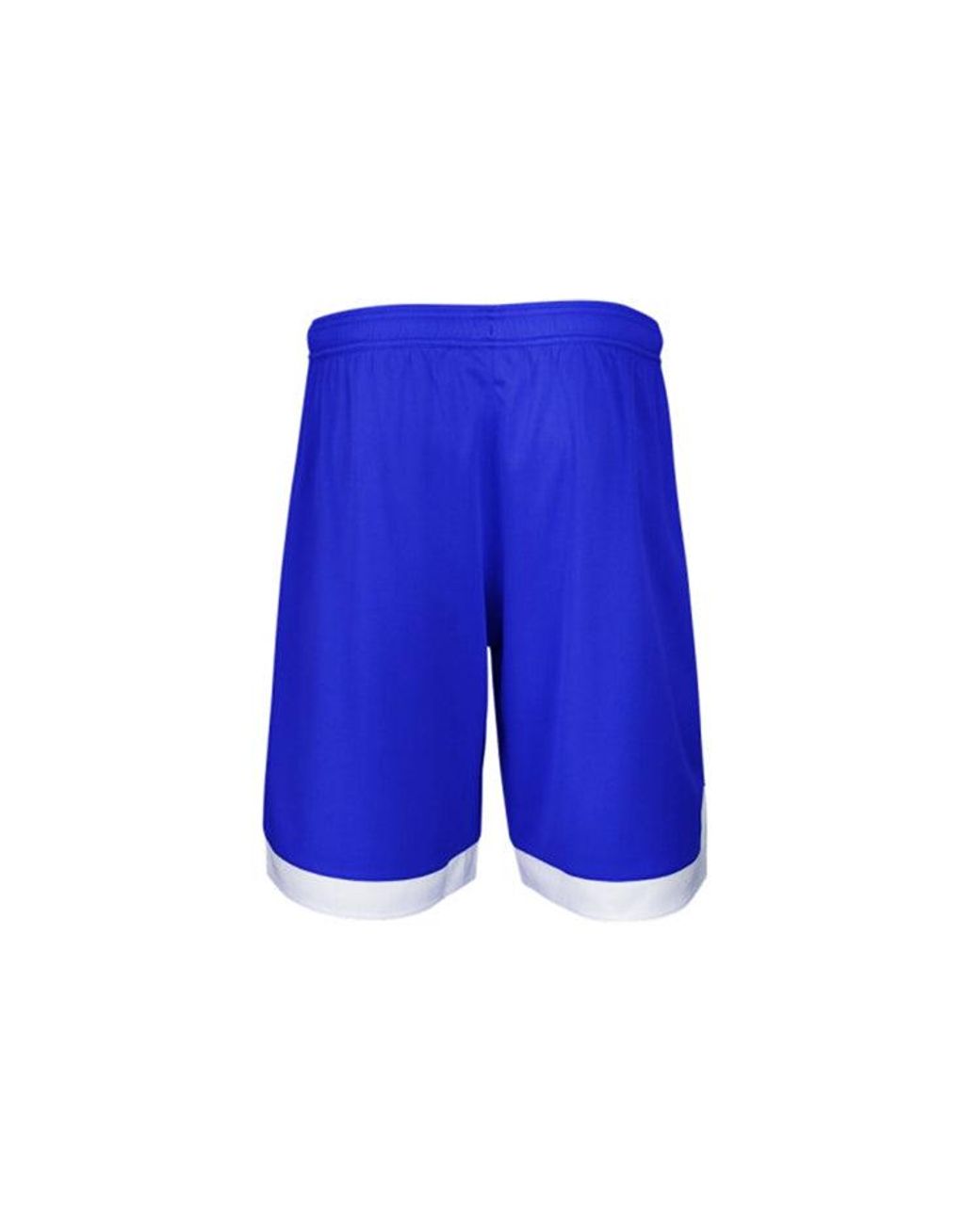 Under Armour Blue Project Rock Iron Paradise Mesh Shorts for men