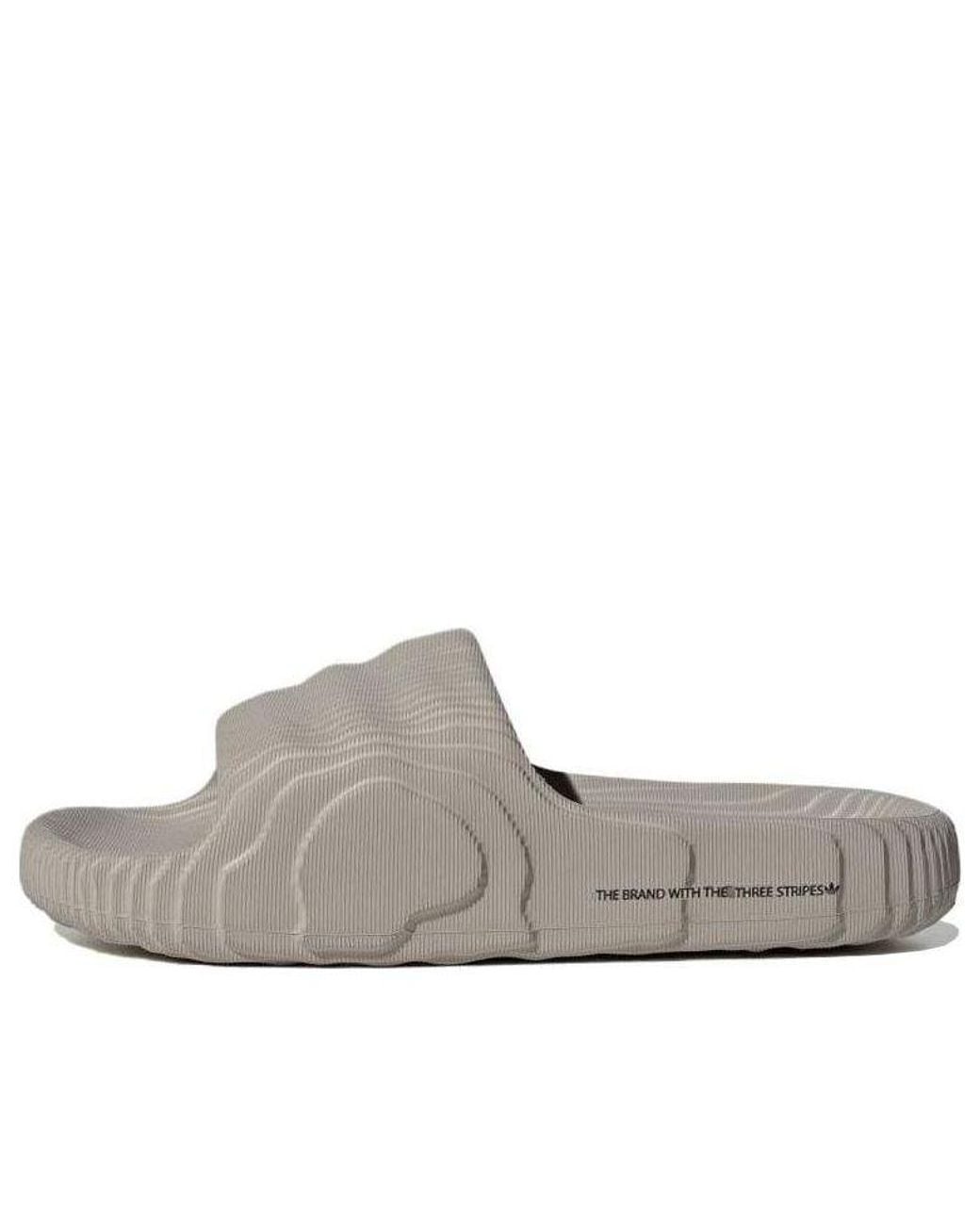 Adidas Gray Ciabatte Adiletet 22 Lightbrown for men