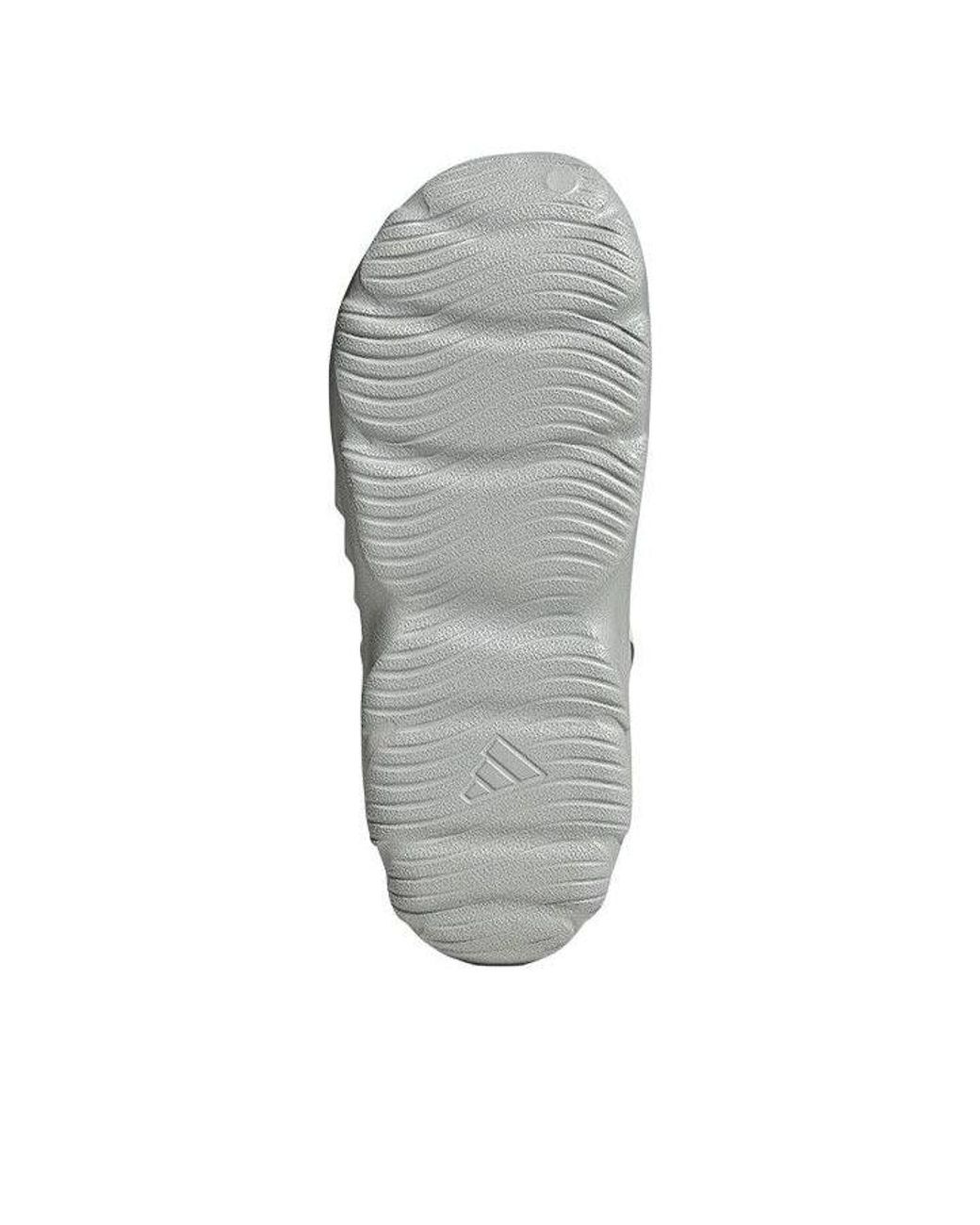 Adidas Gray Maxxclog Eva for men