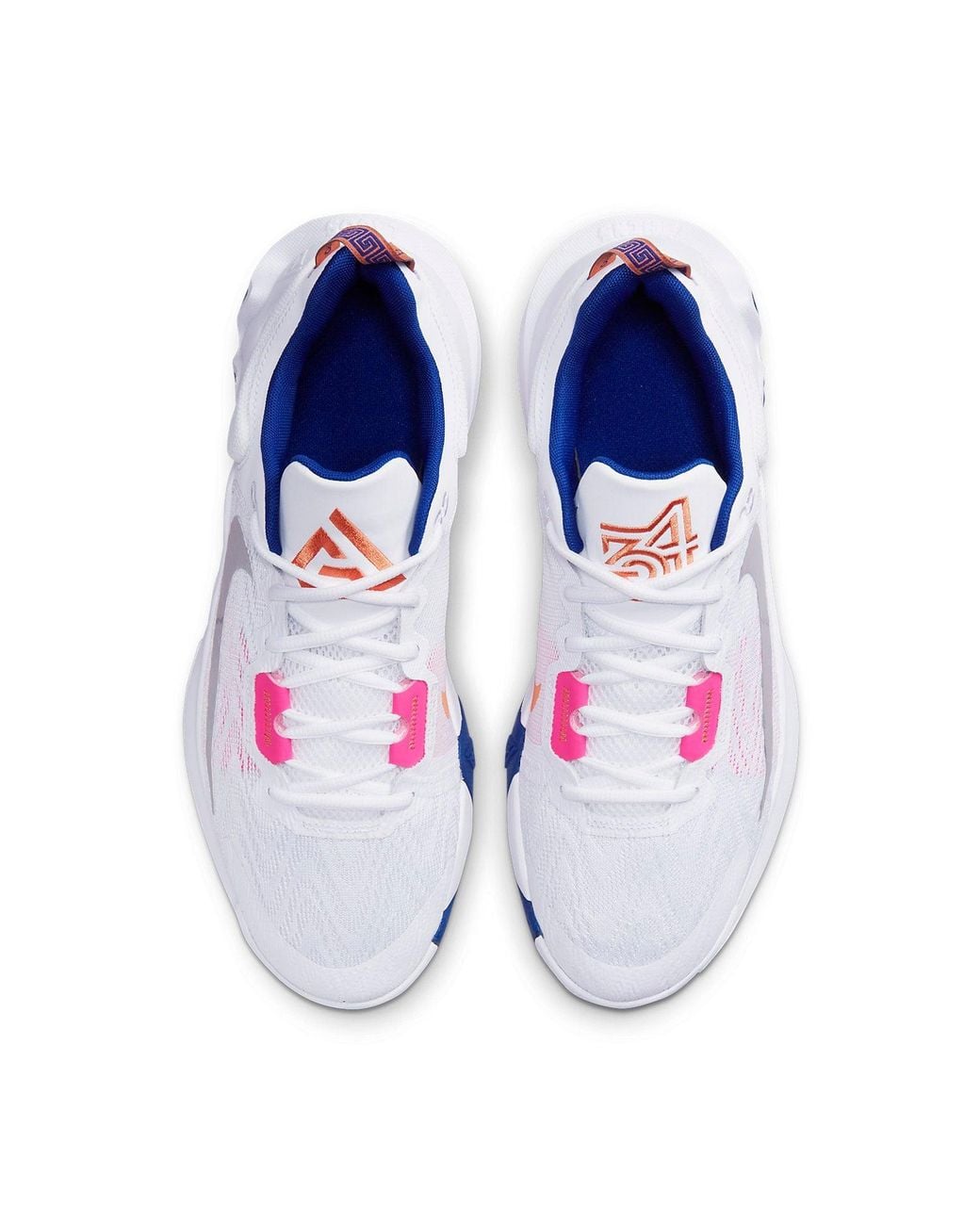 Nike Blue Giannis Immortality 2 Sneakers for men