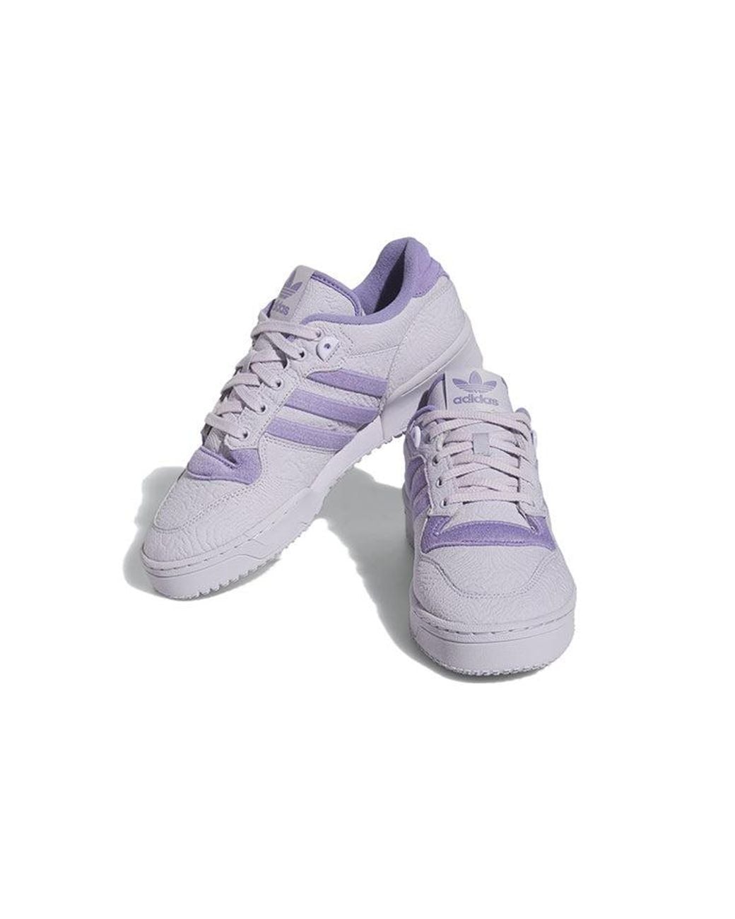 Adidas Purple Rivalry Low Tr 'All-Star for men