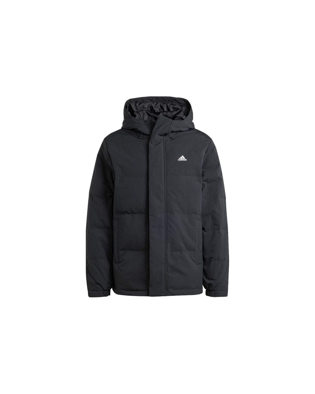 Adidas Black Regular Daily Down Jacket for men
