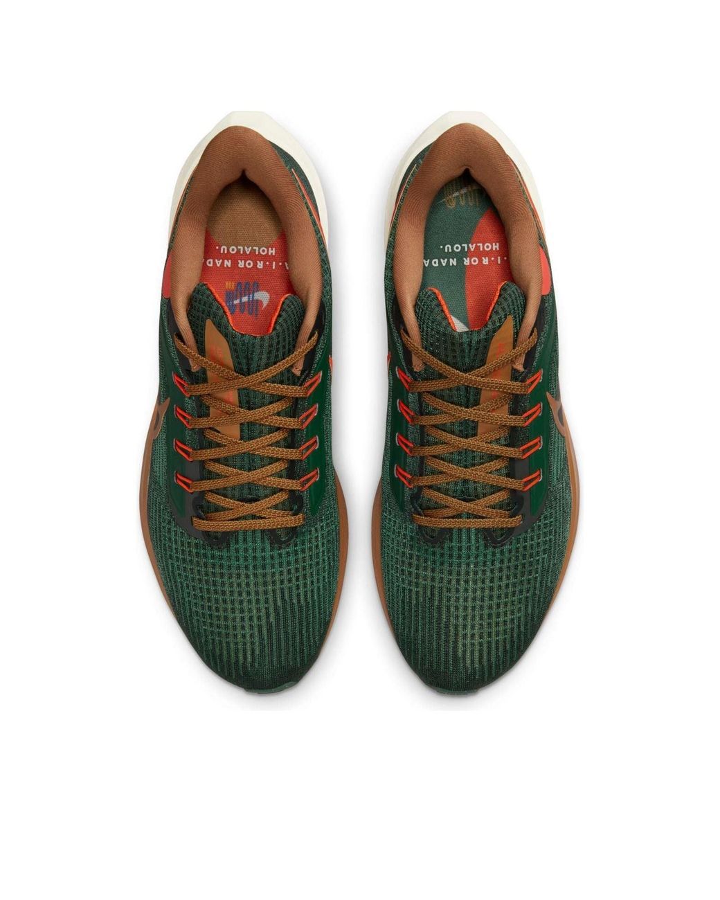 Nike Brown X Hola Lou Air Zoom Pegasus 39 'A.I.R. for men