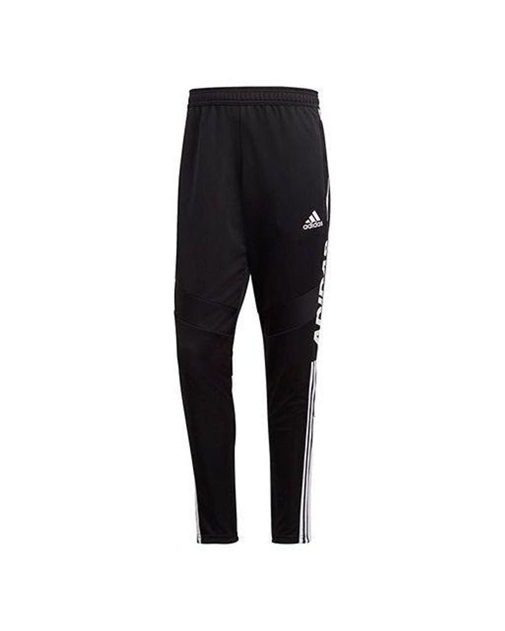 Adidas Black Tiro Ds Pnt Footballsports Long Pants for men