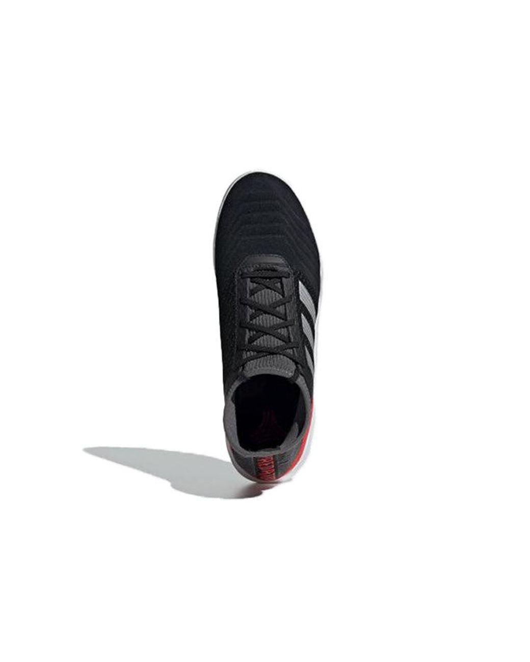 Adidas Blue Predator 19.3 Tr for men