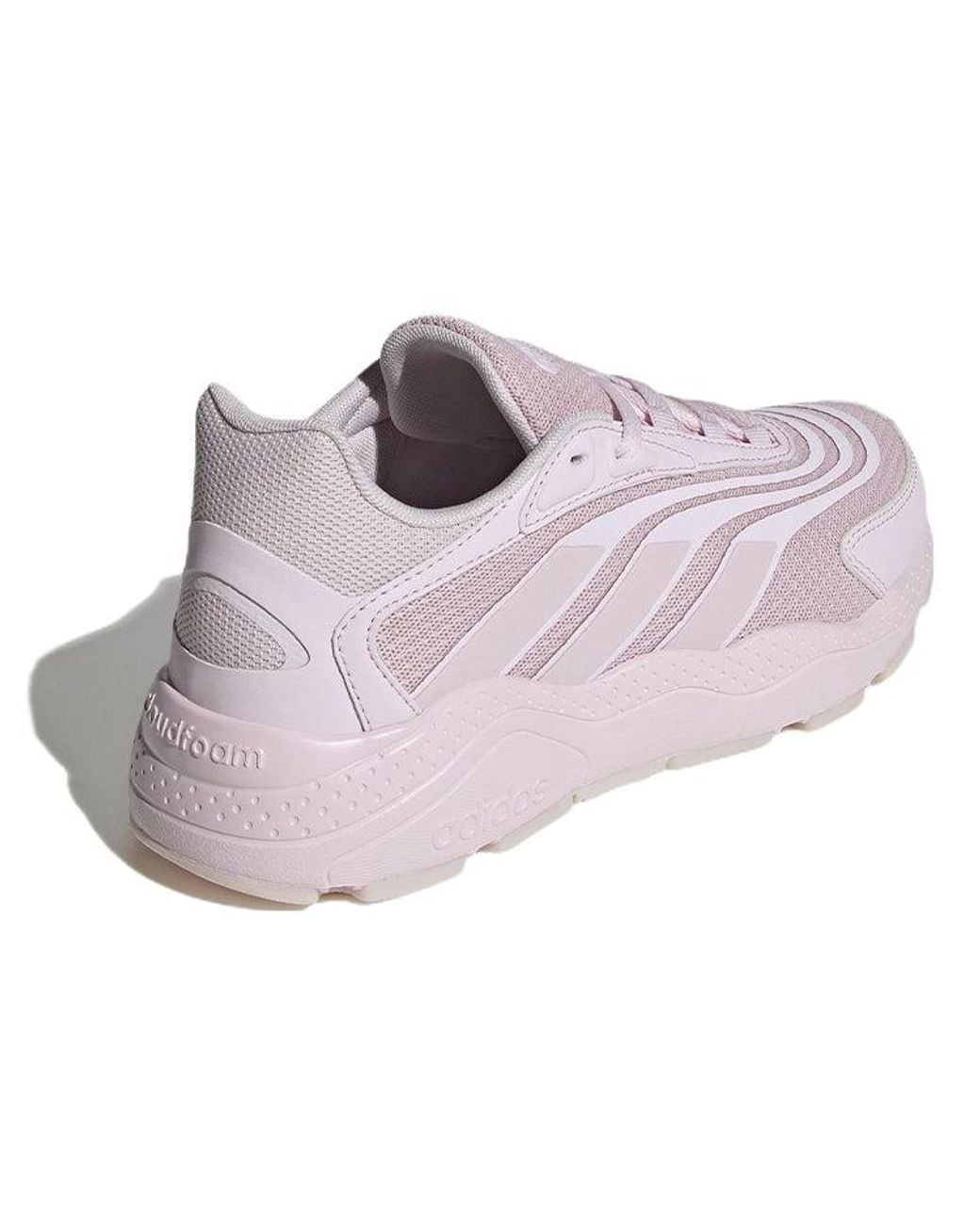 Adidas Purple (Wmns) Crazychaos 2.0