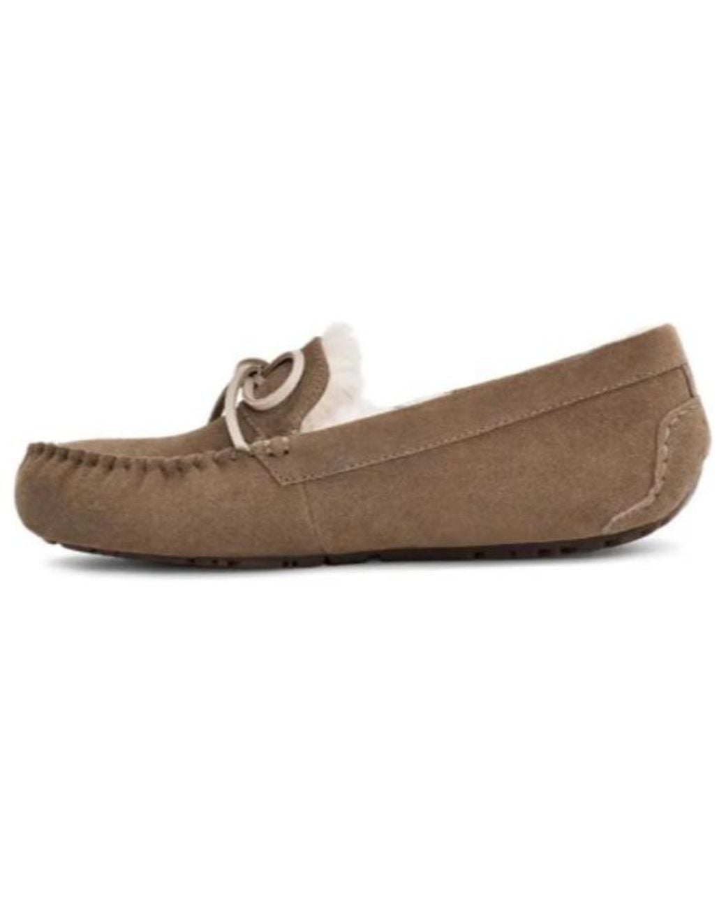 Ugg Brown Gommino for men