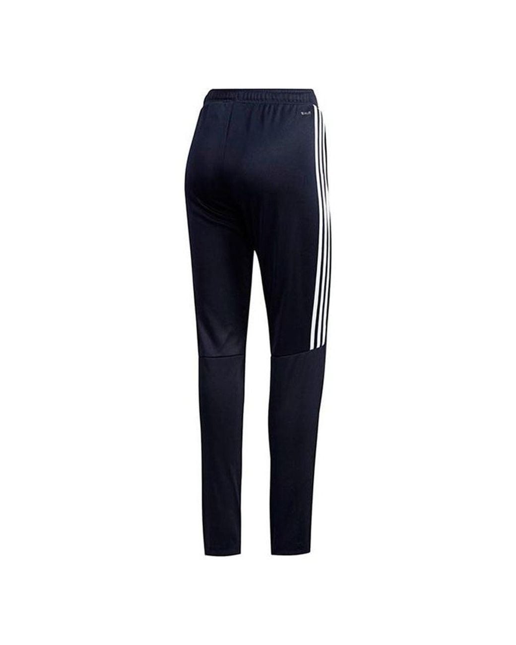 Adidas Blue (Wmns) Sereno 19 Pant