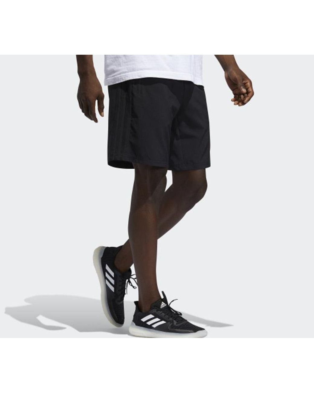 Adidas Blue M Short Library Logo Sports Shorts for men