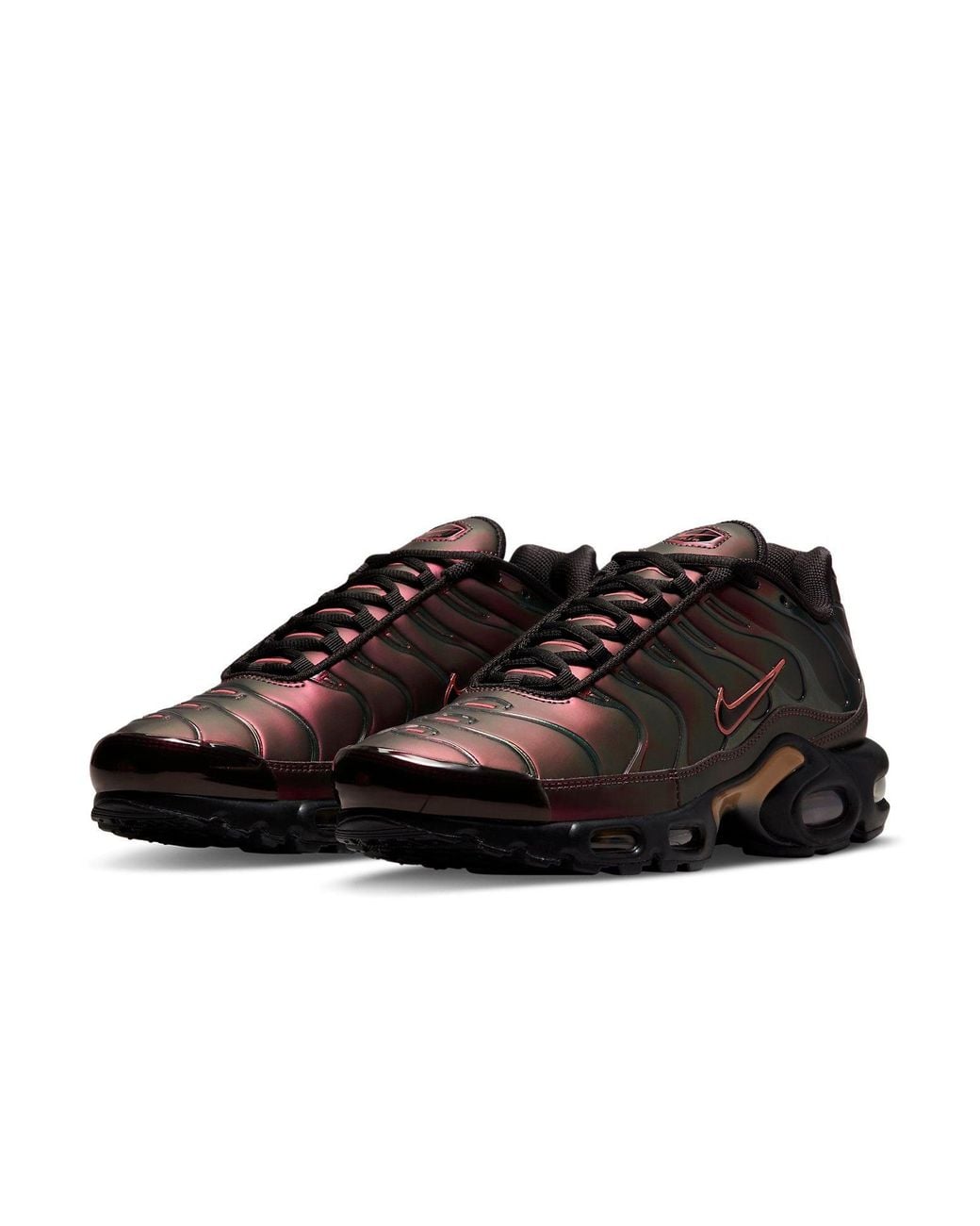 Nike Brown Air Max Plus Og 'Scarab' 2022 for men