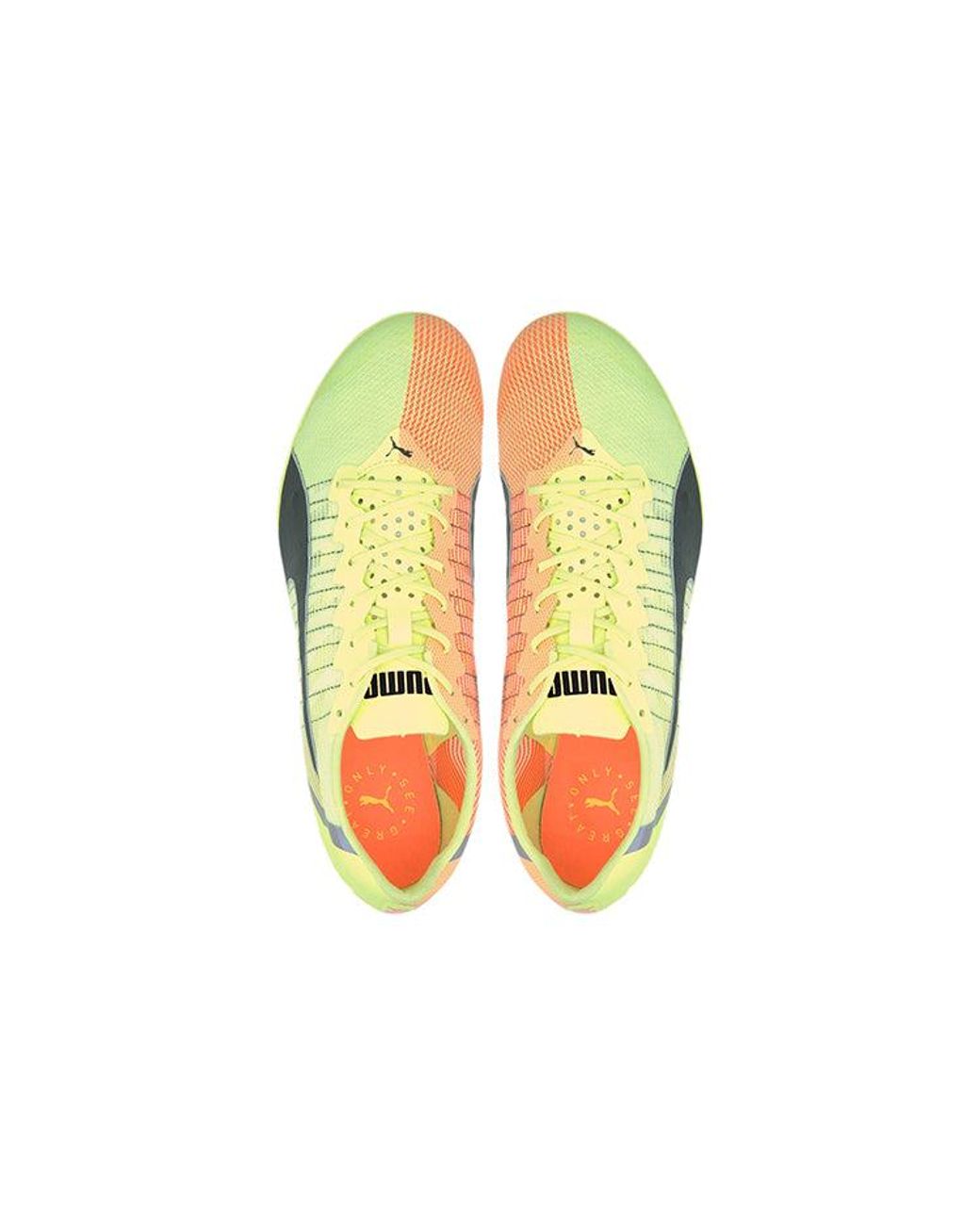 PUMA Yellow Evospeed Tokyo Future for men