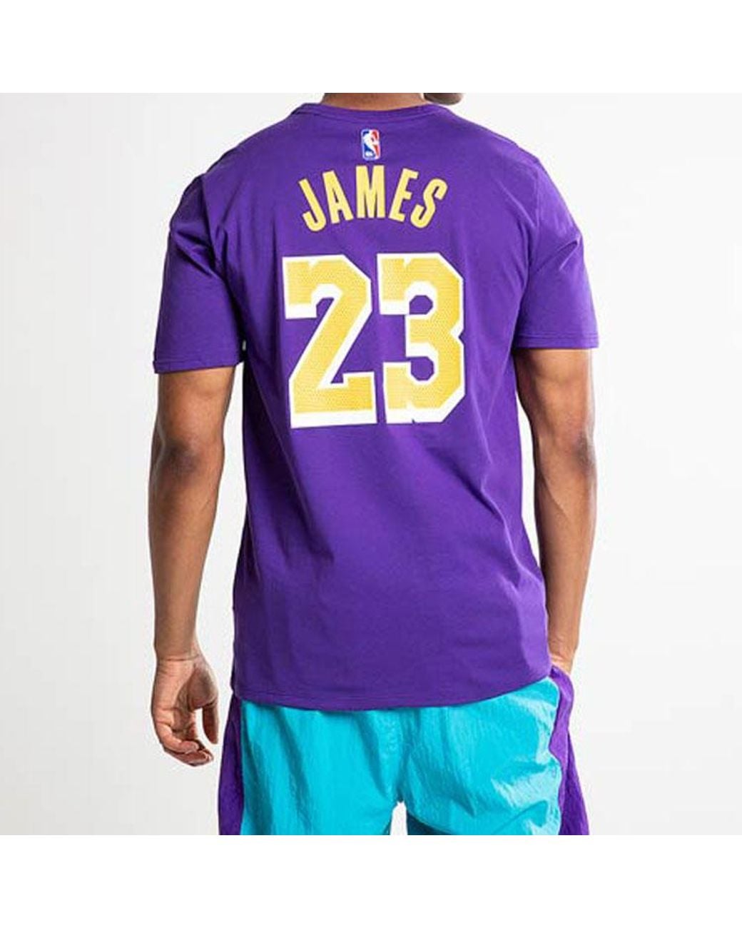lebron jersey purple