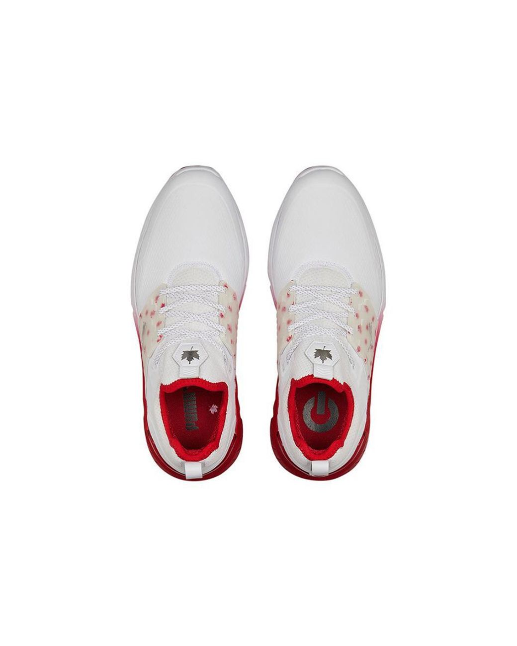 PUMA White Ignite Articulate Maple Golf Shoes for men