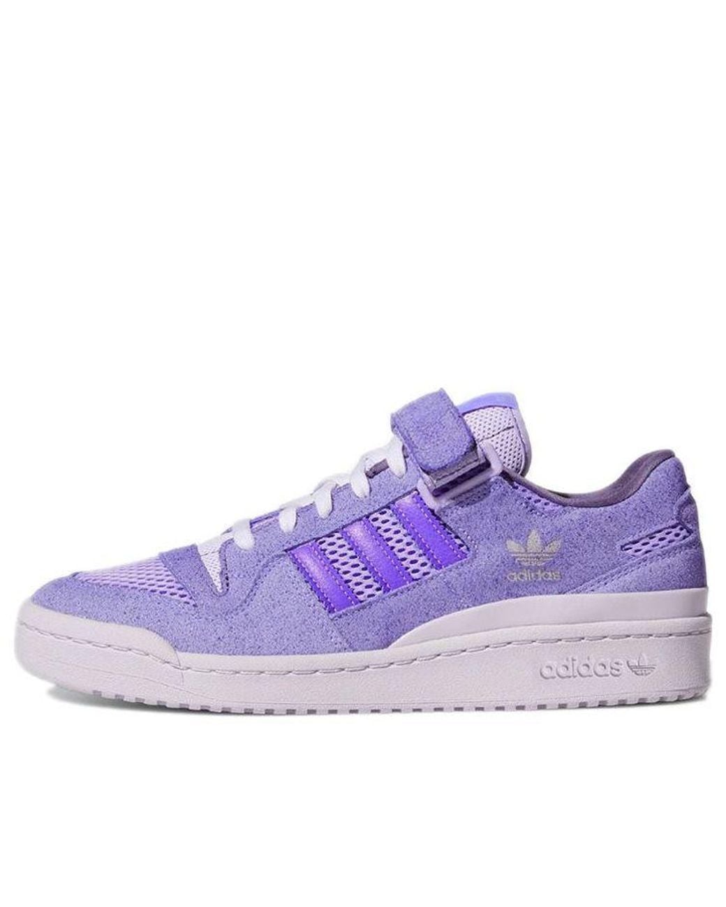 Adidas Purple Forum 84 Low 8K 'Tech' for men