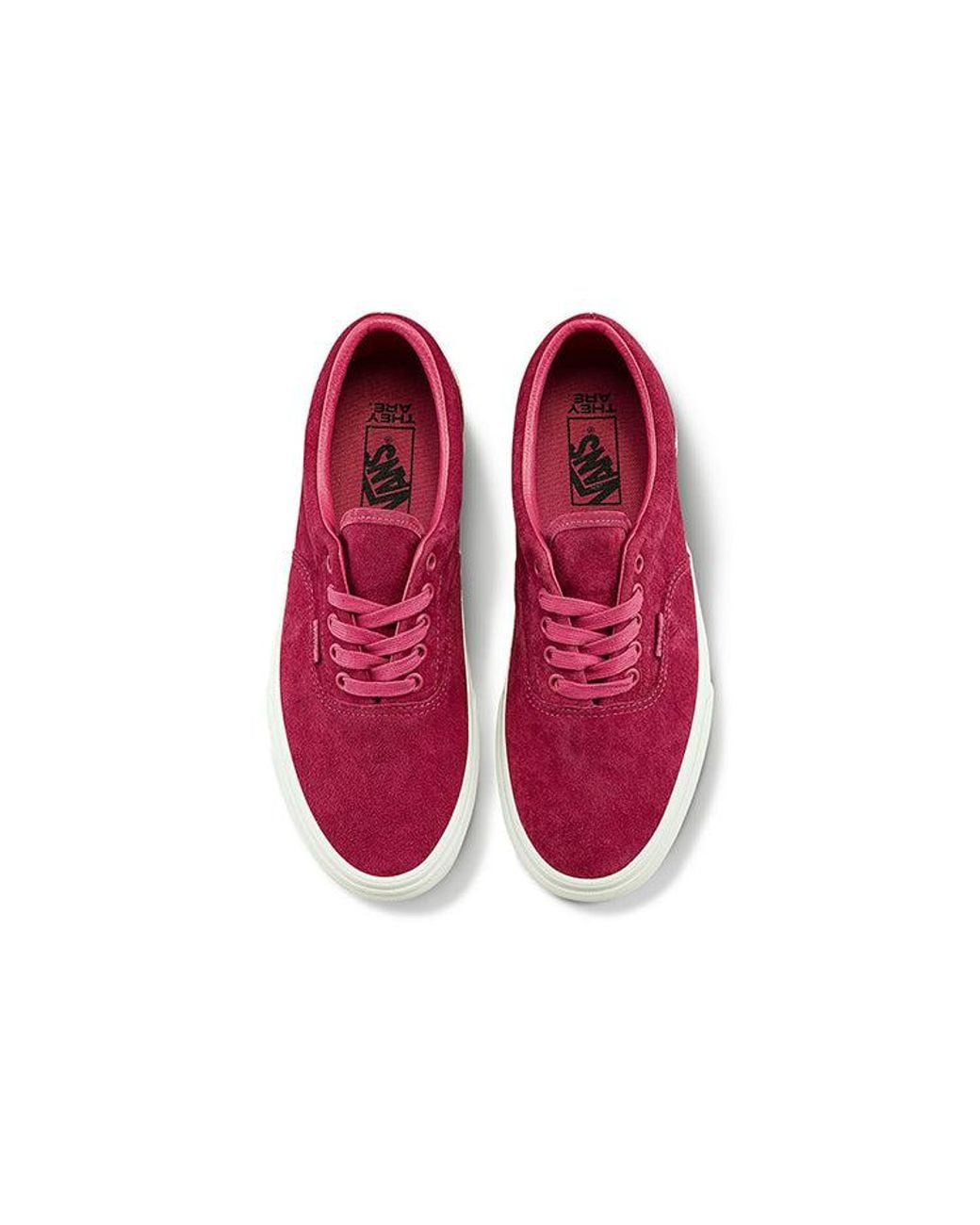 Vans Red They Are X Era Burgundy for men
