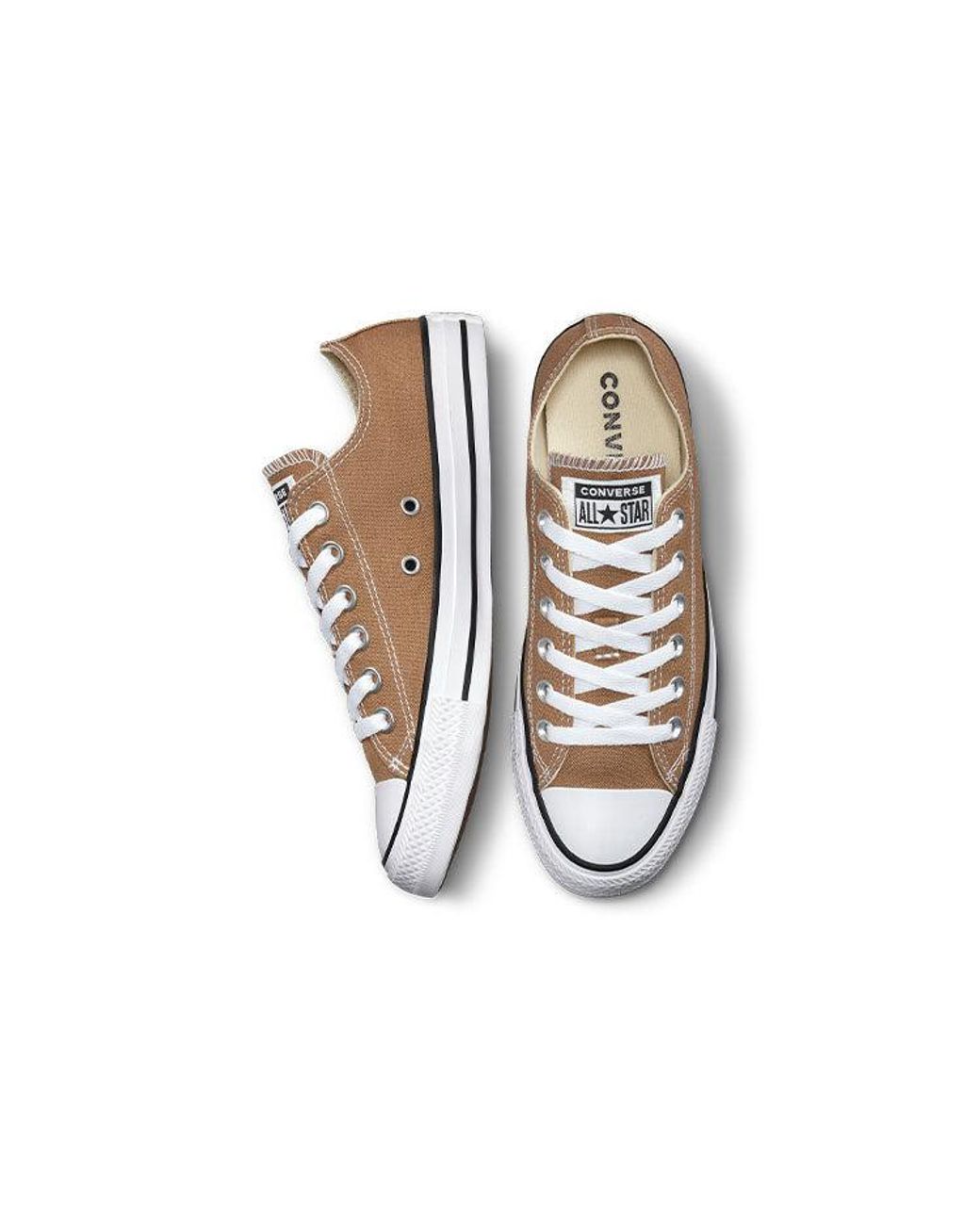 Converse Brown All Star Low Top Casual Canvas Shoe for men