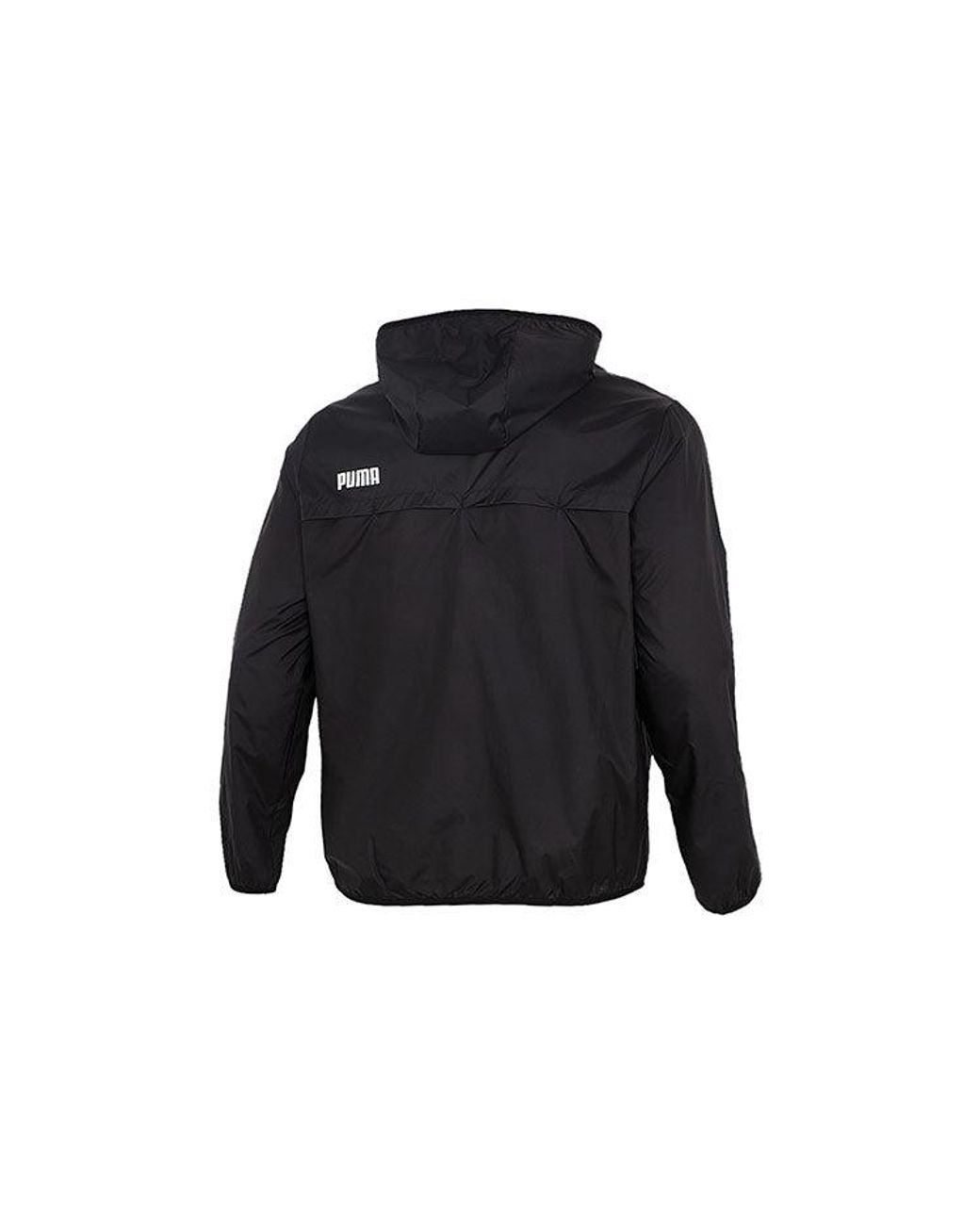 PUMA Blue Essentials Solid Windbreaker Jacket for men