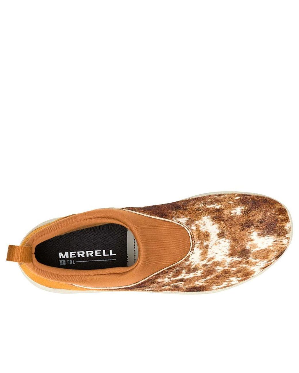 Merrell Brown Winter Moc 3 Ch Se 'Spice' for men