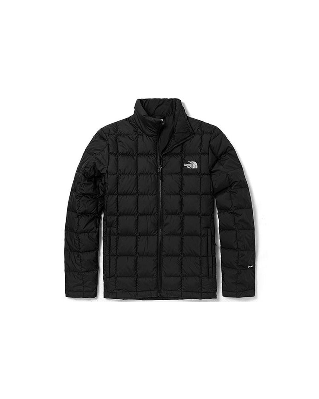 The North Face Black 600 Down Jacket for men
