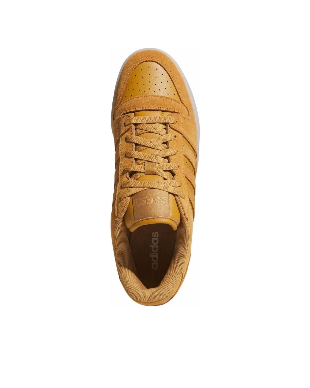 Adidas Brown Break Start Premium Low for men