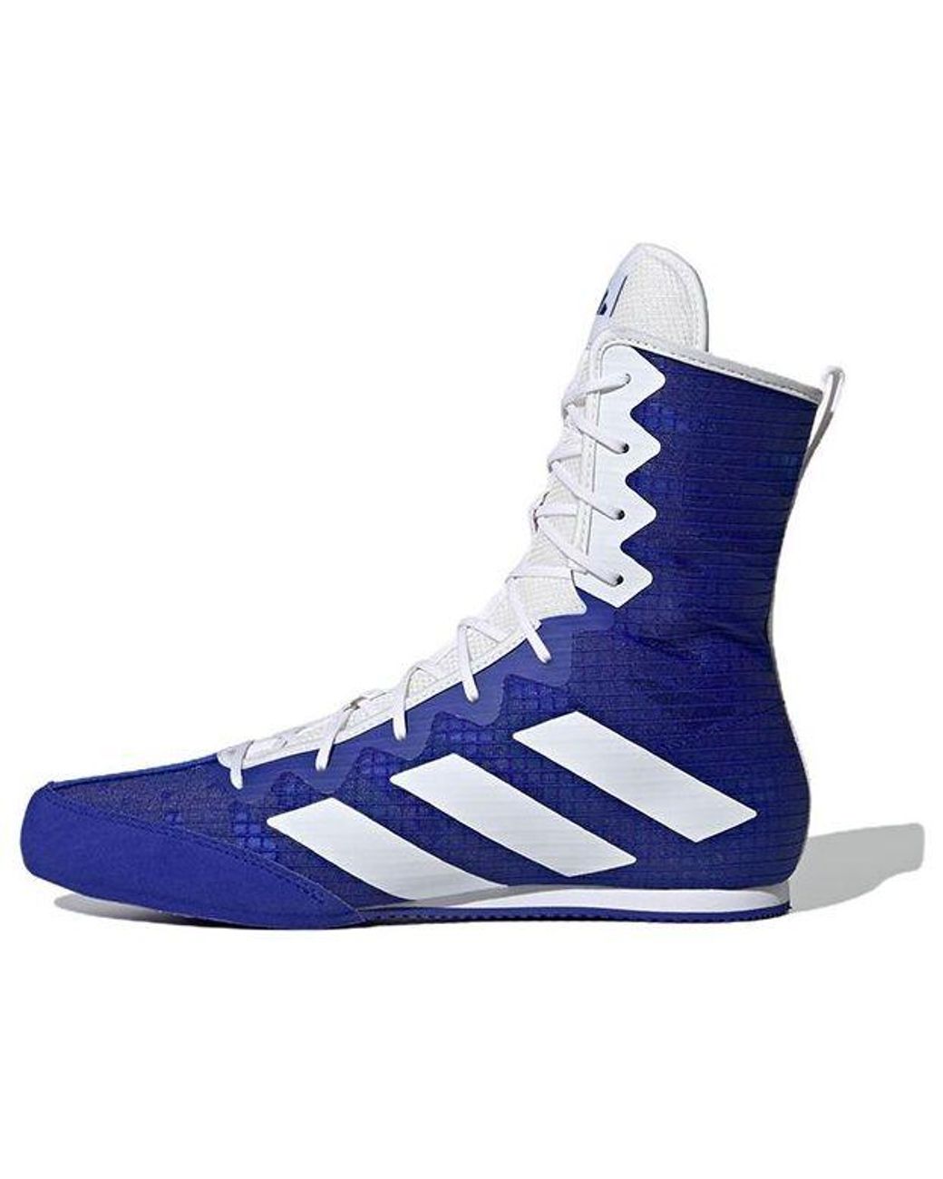adidas Box Hog 4 Shoes in Blue for Men | Lyst