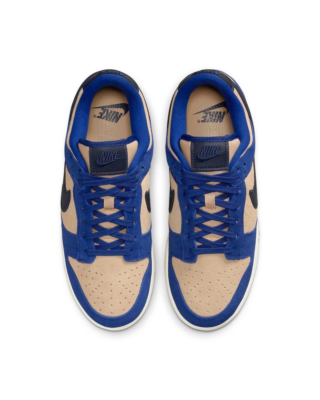 Nike Blue Dunk Low Shoes