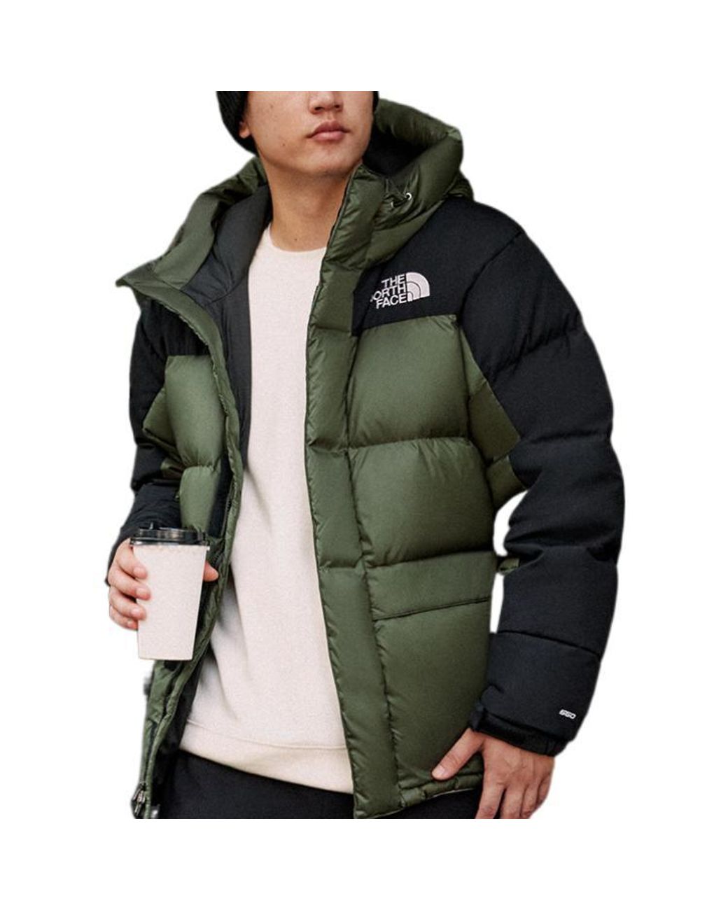 The North Face Winter Puffer Jacket 'Olivegreen' for men