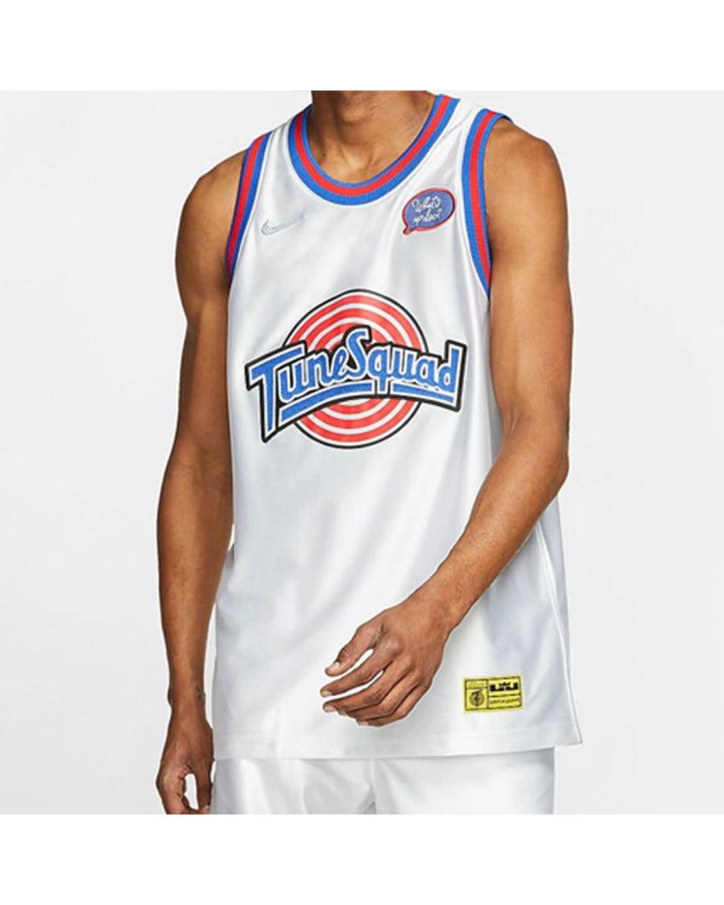 Nike Blue Nba Large Dunk 2 Space Jam Lebron James 23 Large Jersey for men