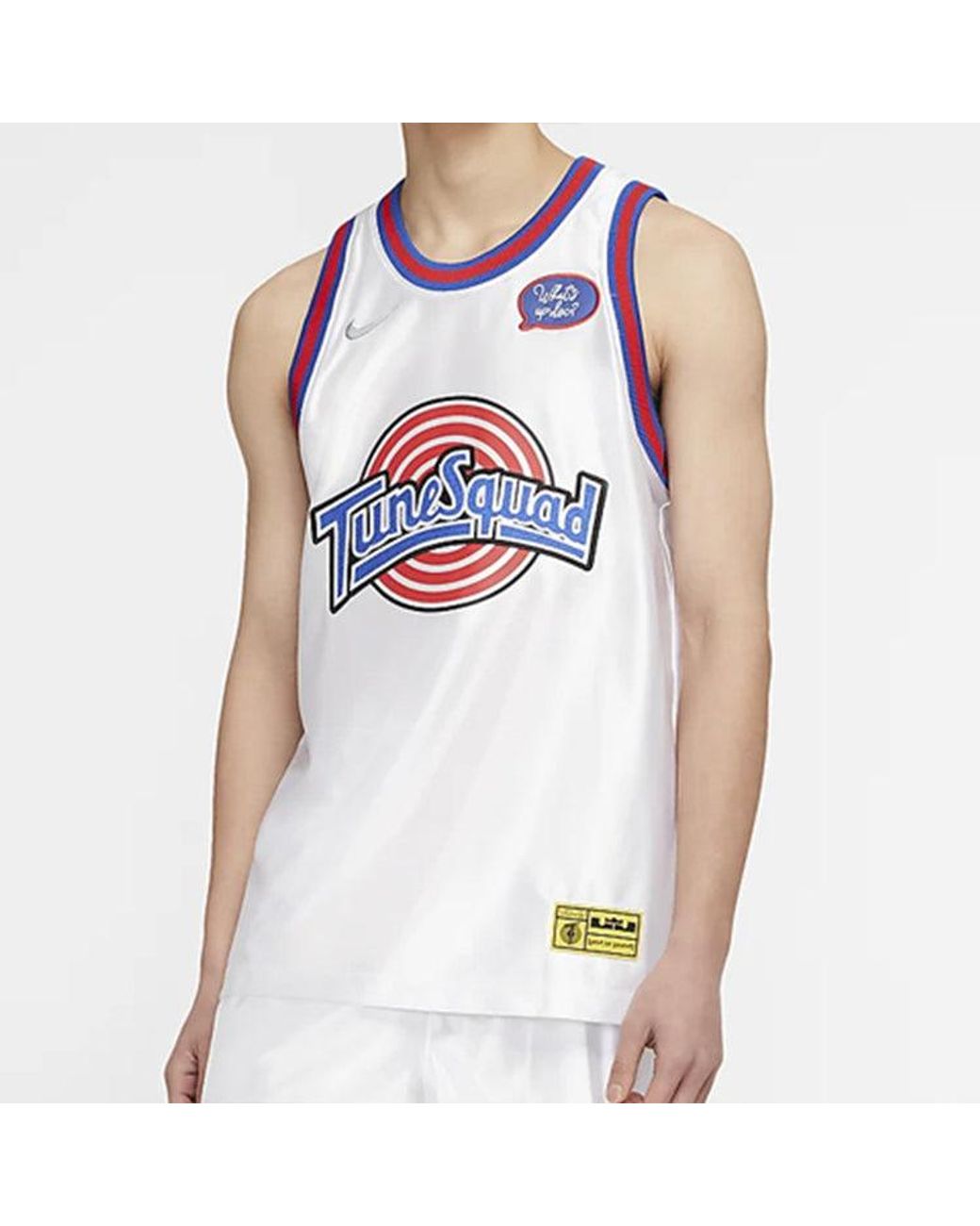 Nike Blue Nba Large Dunk 2 Space Jam Lebron James 23 Large Jersey for men