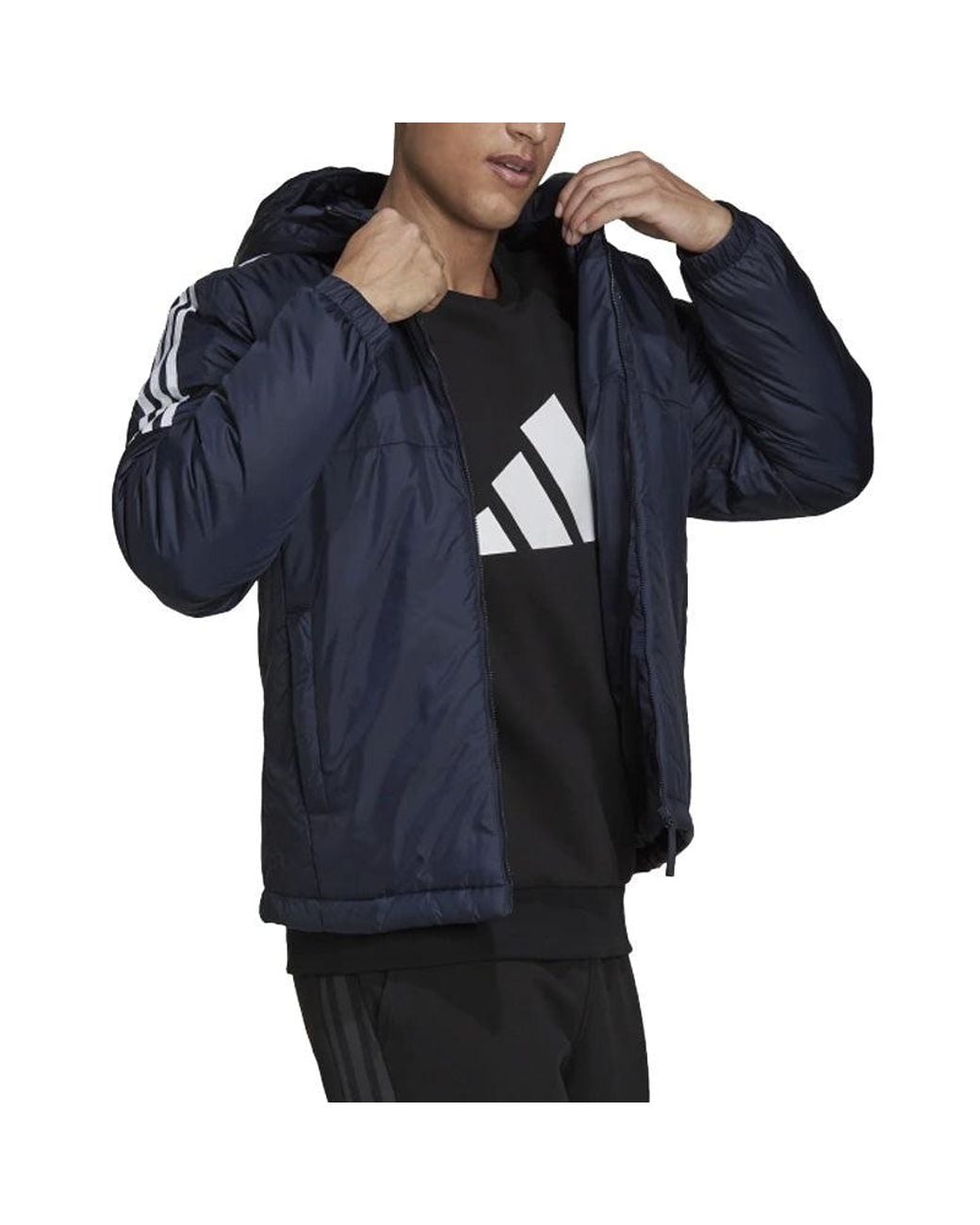 Adidas Blue Essentials Insulated Hooded Jacket for men