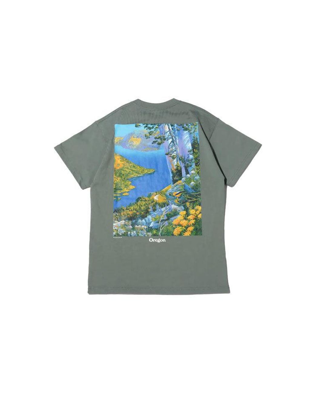 Nike Green Acg Crater Lake Sports Printing Pattern Round Collar for men